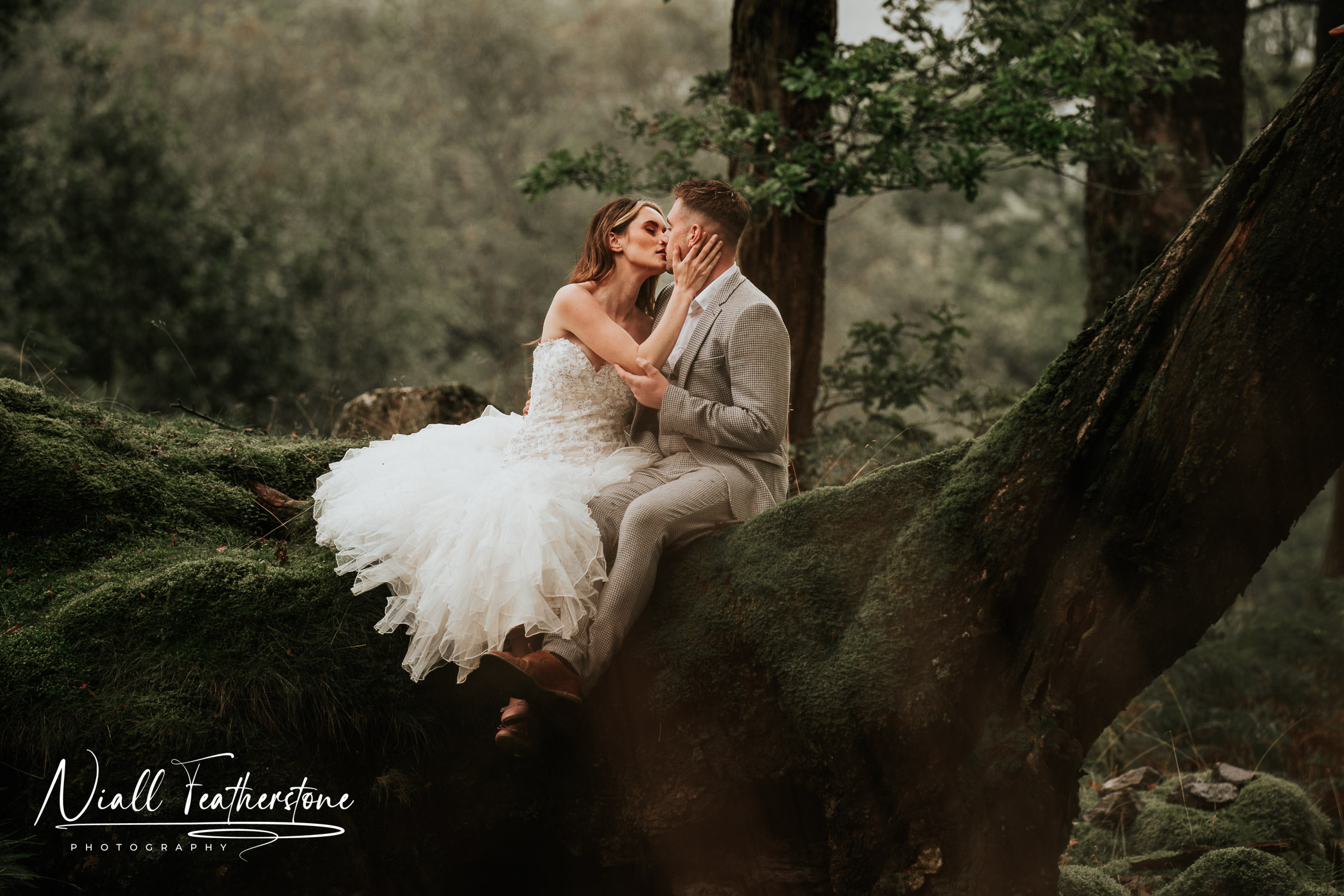 Wedding couple Kissing on a Tree in the Lake District
